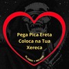 Pega Pica Ereta Coloca na Tua Xereca 1.0 (Slowed + Reverb|Explicit) - Love Fluxos&MC Mn&DJ BRN