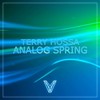 Analog Spring (Original Mix) - Terry Hossa