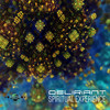 Spiritual Experience - Deliriant