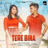 Tere Bina - Badal Thapa&Pooja Sharma&Abdul Syed Faruqui