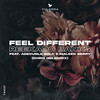 Feel Different (Chris IDH Remix) - Reekado Banks&Adekunle Gold&Maleek Berry&Chris IDH