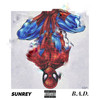 SpiderMan (Explicit) - B.A.D&Sunrey