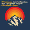 Ain't No Mountain High Enough (Stonebridge Remix) - DJ Hermann&Lady Im