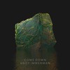 Come Down - Andy Immerman
