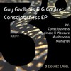 Happiness & Pleasure - G Coulter&Guy Gadbois