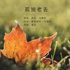 孤独老去（DJ珊珊版） - 音宝&冯鑫阳