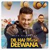 Dil Hai Mera Deewana - Rick Ramoutar