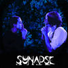 Metamorphosis - Synapse