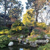 Counting (Explicit) - Young Shushu&Tha Oracle