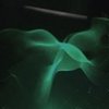 Myleaf  - drip-133