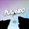 Pulando (Explicit) - DJ Surtado 011&CACAU CHUU&Prime Funk
