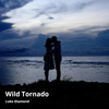 Wild Tornado - Luke Diamond&Alan Burke