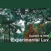 Experimental Luv - DBZ