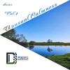 Back to You (Original Mix) - NAMASEIRA