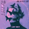 I SEE ALL (feat. Case & Pluko) (Explicit) - Jay Sky&Case&pluko