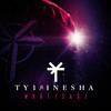 What is a DJ - TY1&Inesha