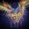 Hospitalism - Peyoceps