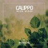 Mesa Verde (Original Mix) - Calippo