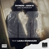 Like Somebody (feat. Laura Warshauer) - Diviners&Ason ID&Laura Warshauer