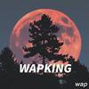 WAPKING (Prod By FireX) - Wap