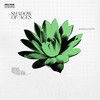 Shadow Of Ages - Wiguez&Ric Waves