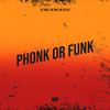 Phonk Or Funk (Explicit) - DJ TWOZ&Mc Delux&MC GW