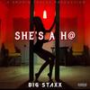 She's A Ho (Explicit) - Big Staxx