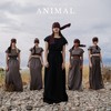 Animal - Angel Ruiz