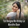 Tor Rengna Wo Hirday La Marathe Baan - Punnu Raj