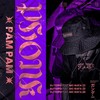 Phonk Pam Pam - DJ Topo&MC Rafa 22