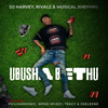 Ubusha Bethu (feat. Philharmonic, Mpho Spizzy, Tracy & Joeleene) - DJHarvey&Rivalz&Musical Xhepard&Philharmonic&Mpho Spizzy&Tracy&Joeleene