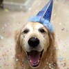 Spag Heppy Bday - Spag Heddy