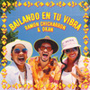 Bailando en tu vibra - Ramon Chicharron&OKAN