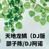 天地龙鳞 (DJ版) - 邵子陈&DJ阿诺
