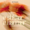 E shkuar e harruar - Ermal Fejzullahu