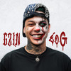 Perfil de Empresa - Gzin
