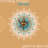 Tarum (Radio Mix) - YinYang Project