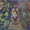 Looking at Me (Radio Mix) - Ali Deger