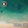 Birds Eye - Zaheer