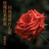 玫瑰花茉莉花问我喜欢什么花 - 鲸鲸鲸阿