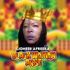 BLACK WOMAN ARISE - Lioness Afreeka