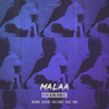 Bling Bling (Matroda Remix) - Malaa