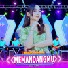 Memandangmu - Diva Hani&Ageng Music