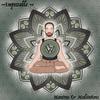 Impeccable (feat. Galactik Vibes) - El Dub&Galactik Vibes