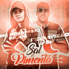 Sal e Pimenta (Explicit) - MC Davizão SP&MC Renatinho Falcão&DJ Biel Mix