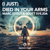 (I Just) Died In Your Arms - Marc Stout&Scott Svejda