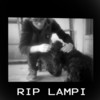 RIP Lampi - DJ Antonio