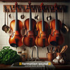 Swinging Bows - Formation Sound&Farnell Newton