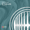 In This Life - Delusive