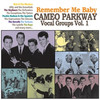 Everybody But You - The Skyliners